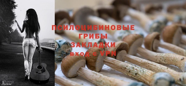 спайс Аркадак