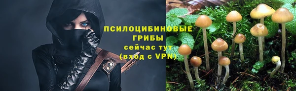 jwh Арсеньев