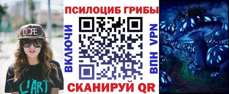 Галлюциногенные грибы мицелий купить наркоту Чапаевск